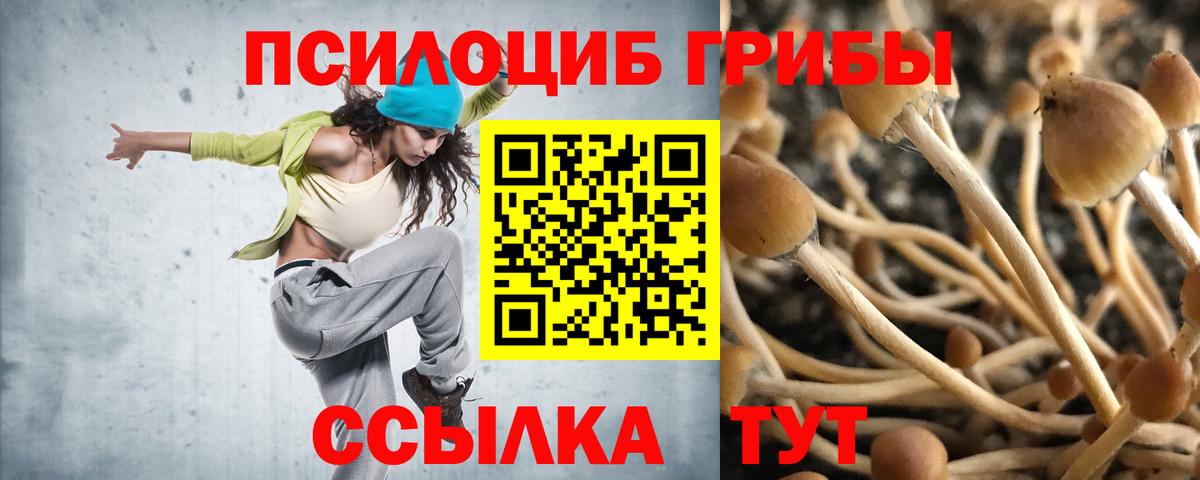 Псилоцибиновые грибы MAGIC MUSHROOMS  Галлюциногенные грибы ЛСД  Ижевск  Вход с VPN 